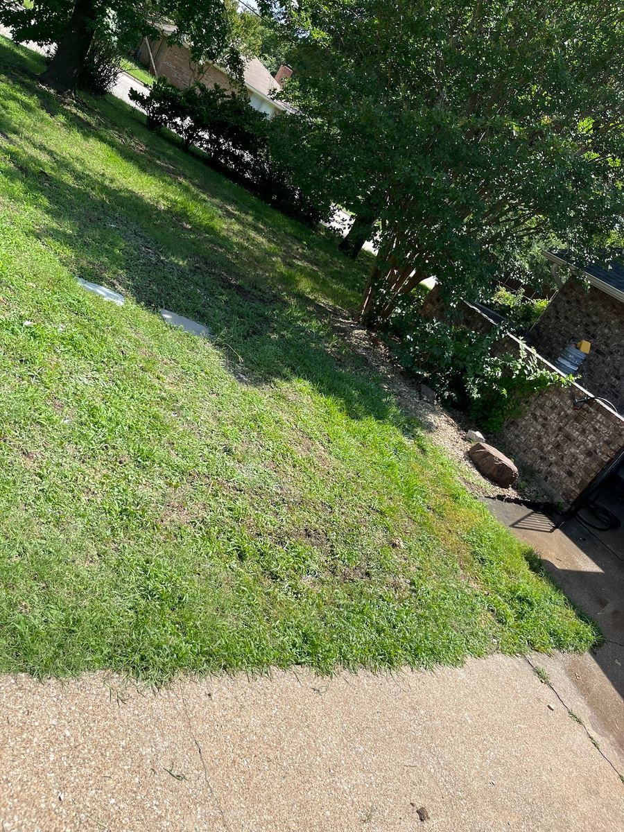 Same front lawn and driveway clear after haul-away