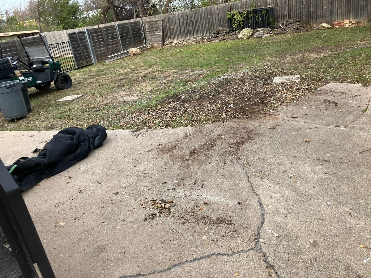 Driveway and lawn cleared after haul-away