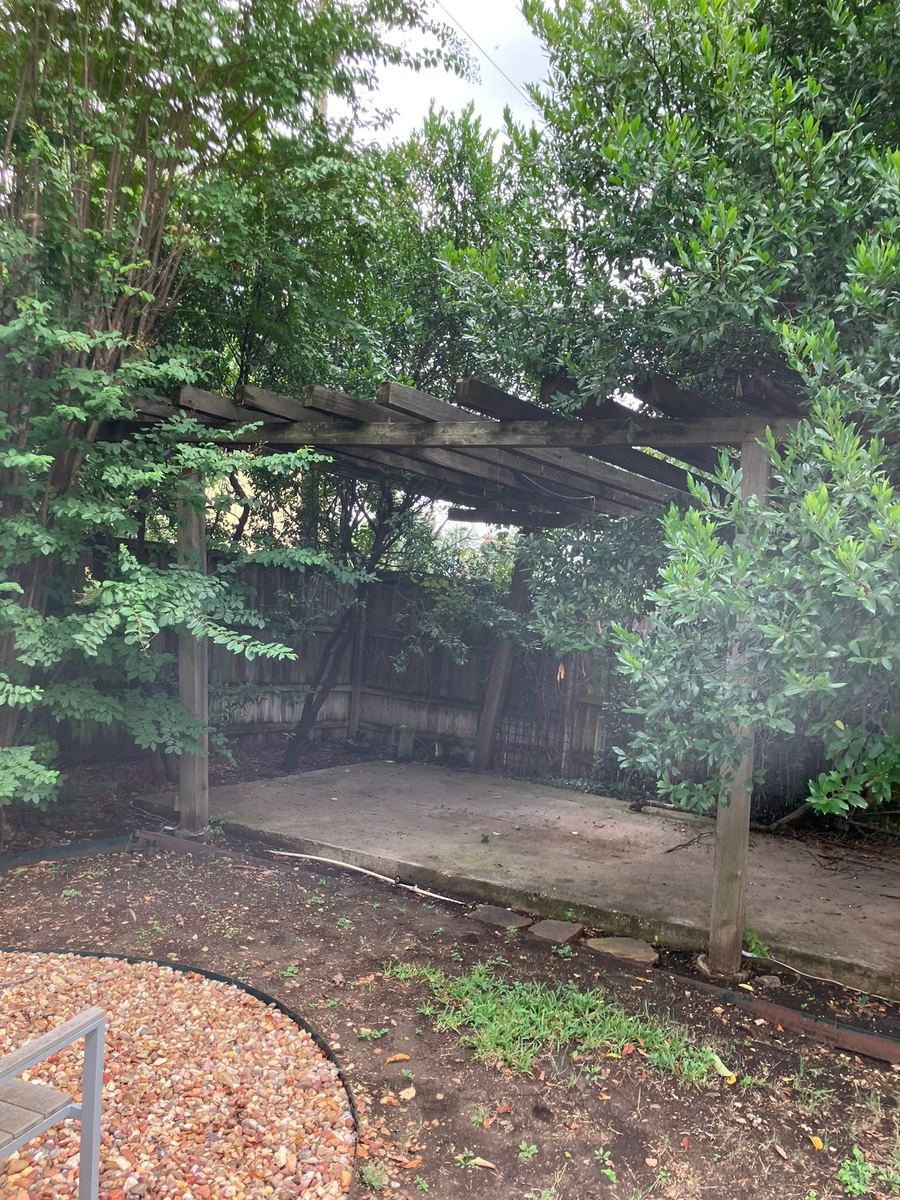 Wooden pergola standing over a concrete pad in an overgrown backyard
