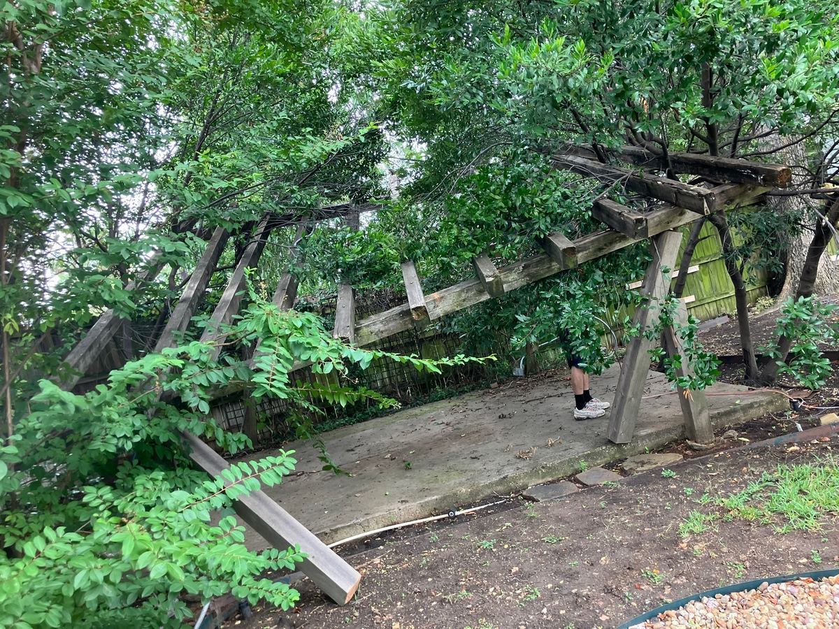 Pergola partly dismantled with its beams leaning and coming down